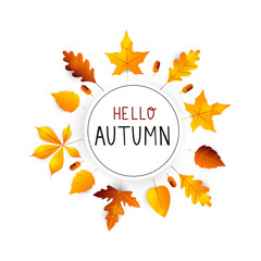 Hello autumn. Autumn hand drawn lettering vector. Hello autumn background with fall leaves. Orange and yellow leaf seasonal illustration. Poster, card, label, banner design.