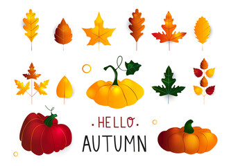 Colorful seasonal fall vector elements. Hand drawn elements, autumn leaves and pumpkins. Perfect for web, card, poster, cover, tag, invitation, sticker kit. Vector illustration. Flat design.