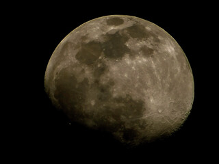 Fototapeta premium full moon in the night