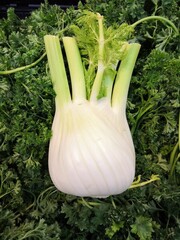 Fennel on a bed of curly parsley