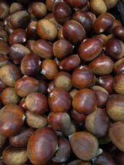 It's autumn, here is the harvest of chestnuts