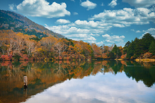 Nikko autumn season with colourful tree leaf and mirror water lake and blue sky