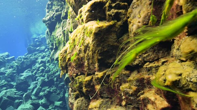 Underwater, Pov, Diving In Silfra Fissure, Iceland