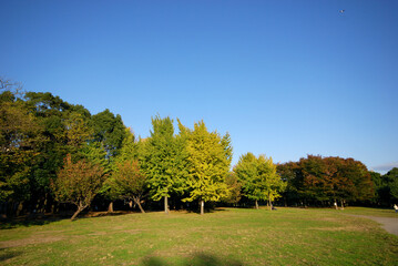 清澄公園（東京都江東区清澄）