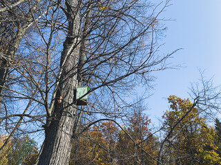 Birdhouse on the tree, fall time
