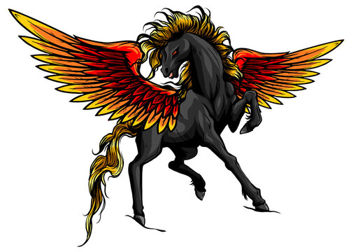 Pegasus. An illustration of the mythological horse Pegasus rearing up on its hind legs. vector
