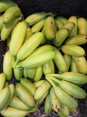 Saba banana	