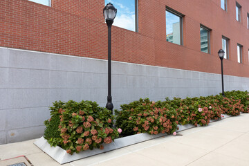 Side of an Urban Brick Building with a Small Garden and Street Lights in Long Island City Queens New York