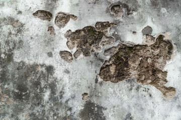 Closeup background texture of old weathered wall with cracks and moss.