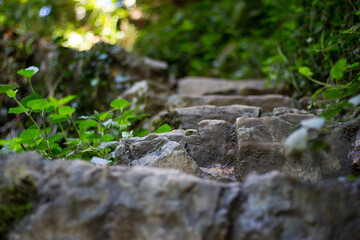 Escalier menant aux petites cascades de Normandie