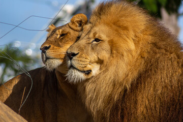 Bienvenue au Zoo Parc de Beauval
