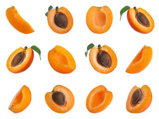 Set of cut fresh apricots on white background
