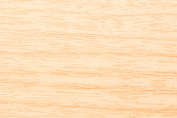 texture of wood use as natural background