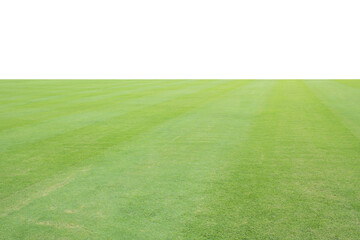 green grass on white background