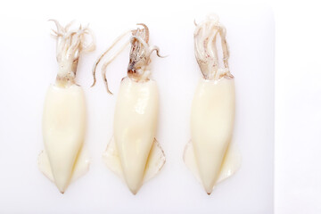 Three raw Splendid Squid isolated on white background. 