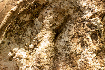 Old wooden texture background that has natural cracks