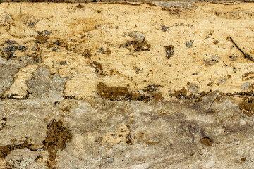 Old wooden texture background that has natural cracks