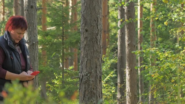 The nature reserve forest in Espoo Finland