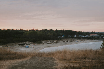 morning in the forest