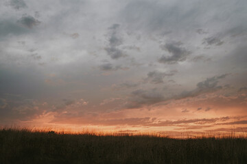 sunset in the forest