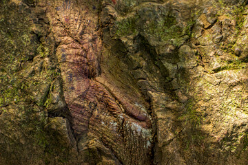 Old wooden texture background that has natural cracks