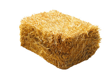 Dried hay bale isolated on white. Agriculture industry