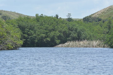 praia do gunga