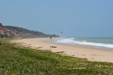 praia do gunga