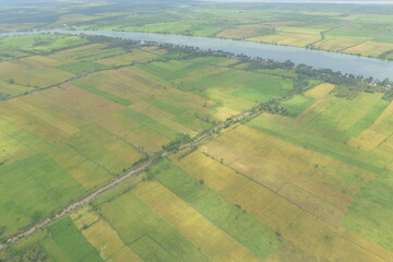 Aerial photo of agriculture in Banyuasin, Indonesia