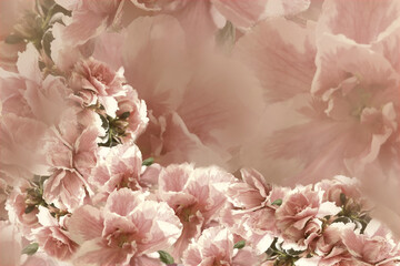 Vintage  roses  pink-gray-brown flowers.  flowers  background.   floral collage.  Flower composition.  Nature.