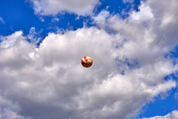 Wooden toy standing Jolly bull