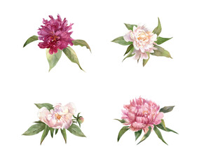 watercolor flower arrangement, frame, wreath with flowers and leaves of peonies