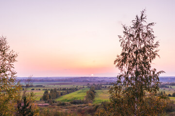 Fototapeta na wymiar sunset in a tree field horizon landscape morning natural countryside
