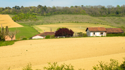Landscape of a bare field under the spring sun, tree and house in the distance surrounded by vegetation