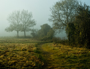 Early morning on a cold, sunny and misty winter's day on Butser Hill, Hampshire UK