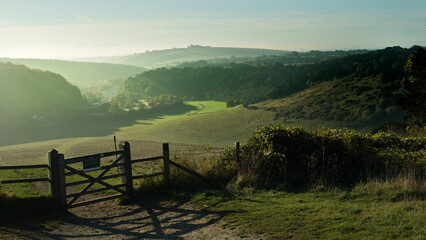 An early morning view over Butser Hill looking south.