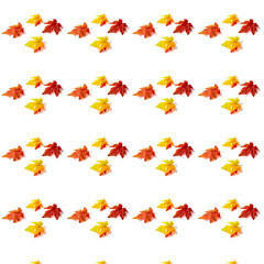 Pattern. Autumn maple leaves on a white background. 3D-Image.