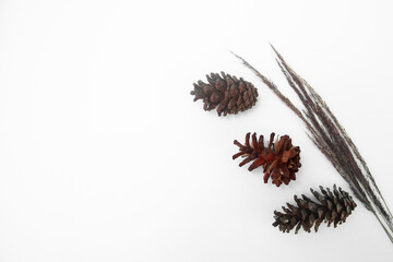 Autumn composition. Pattern made of dry wild grass and pine cone on white background. Autumn, fall concept. Flat lay, top view