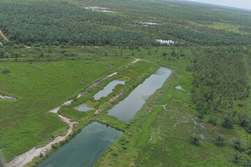 Aerial photo of green land, Banyuasin area, Indonesia