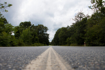 Lower angle asphalt road view between trees