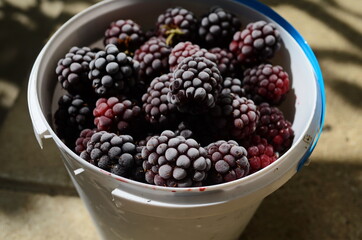 Healthy sweets concept frozen raspberries, blackberries
