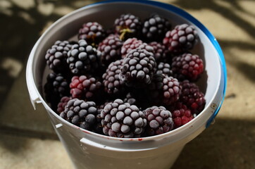 Healthy sweets concept frozen raspberries, blackberries