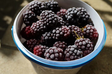 Healthy sweets concept frozen raspberries, blackberries