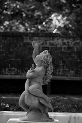 fountain in the garden