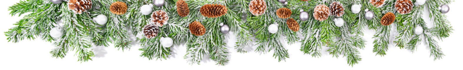 Christmas Fir Branches with Fir Cones and Snow isolated on white Background - Panorama