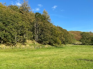 Corner of an empty meadow, with a small forest, and fells in the distance in, Littondale, Skipton, UK