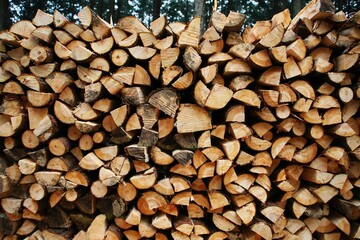 大量の薪１