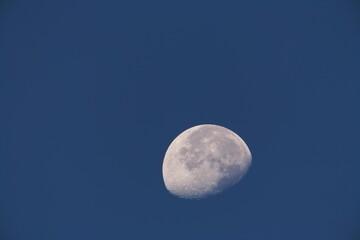 残月（朝の月）