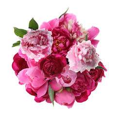 Beautiful peony flower bouquet on white background