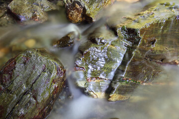 Mountain stream in autumn. Stream in the forest.